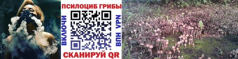 Галлюциногенные грибы Magic Shrooms Купить закладки Щёкино